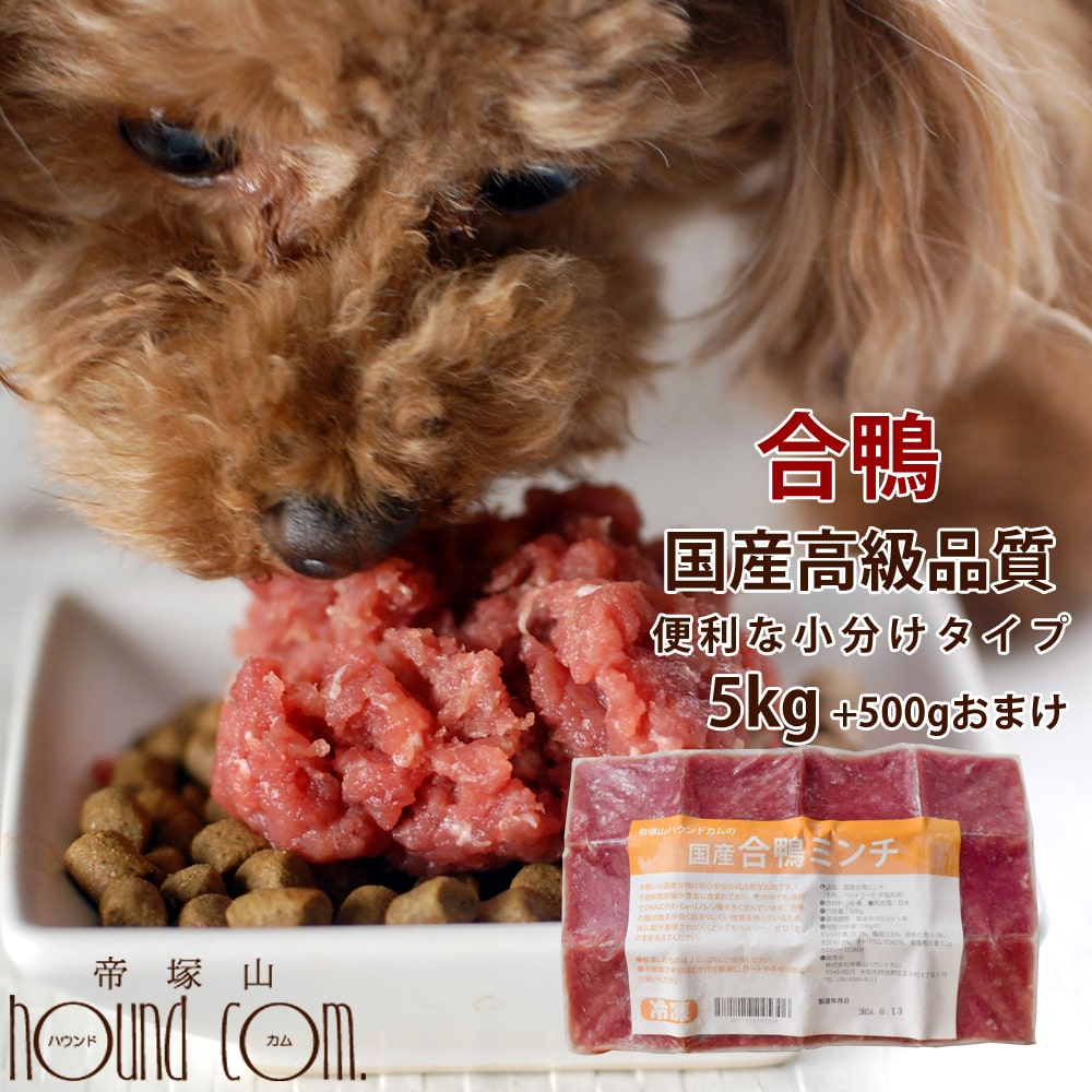 犬用 生肉 手作り食 A0027 高齢犬 国産 生肉 合鴨ミンチ 5kg 500g 500g 11袋 最高級合鴨 最高級合鴨 生肉 生食 犬用 生肉 国産 合鴨ミンチ 5kg 500g 500g 11袋 最高級合鴨 生肉 犬用 生肉 ドッグフード 手作り食 A0027 高齢犬 シニア 帝塚山ハウンド