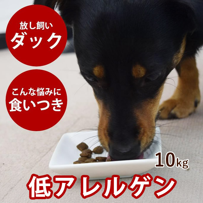 全商品オープニング価格 特別価格 ドッグフード 10kg A0338 グレインフリー ダック ドッグ tu アートゥー 穀物不使用 関節ケア ドッグフード ドライフード 犬用 乳酸菌入り コンドロイチン グルコサミン 鴨肉 Dgb Gov Bf