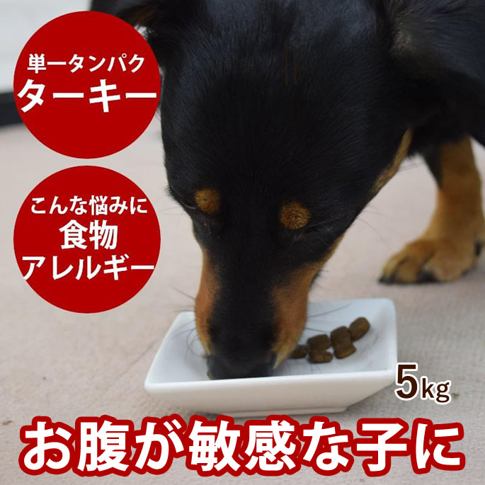 おいも大寄りあつまる