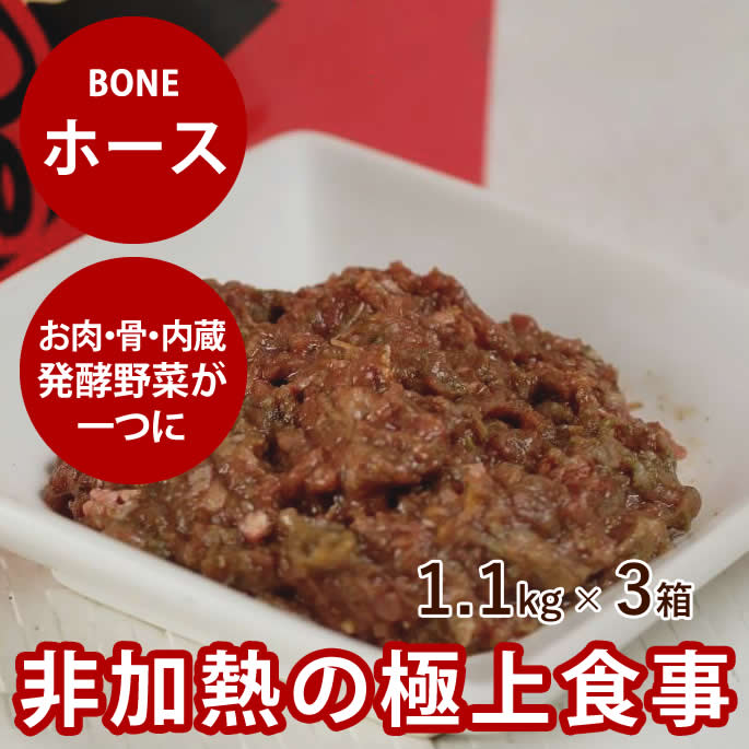 腎の臓に人懐っこい召し上がる特集