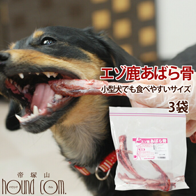 楽天市場】帝塚山ハウンドカム 歯石取りペンチ 犬用 猫用 ステンレス 全長11cm : 帝塚山ハウンドカム 楽天市場店