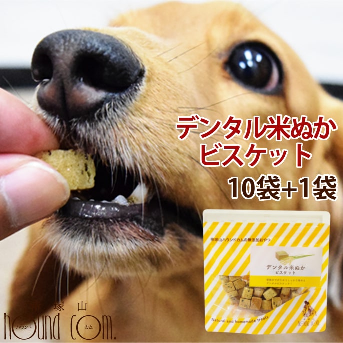 楽天市場 犬用おやつ デンタル米ぬかビスケット60g 10袋セット 1袋 素朴な犬おやつ 米粉 犬用クッキー 犬用ビスケット 硬いおやつ デンタルクッキー 米ぬかおやつ 噛むおやつ 子犬から老犬まで安心のおやつ セサミン クリスマス お菓子 帝塚山ハウンドカム 楽天市場店