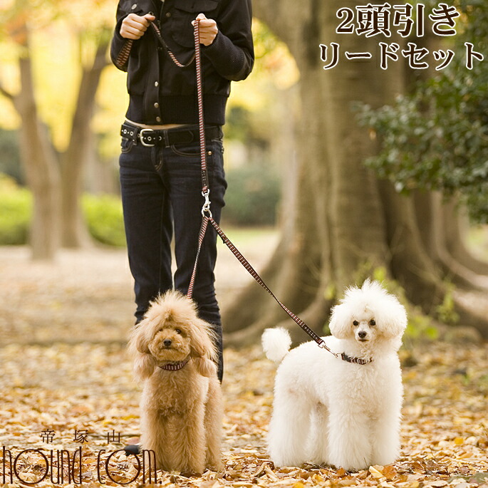 【ままろん】SK-II ＋ 犬用リード imgrc0091307204.jpg?fitin=720:720