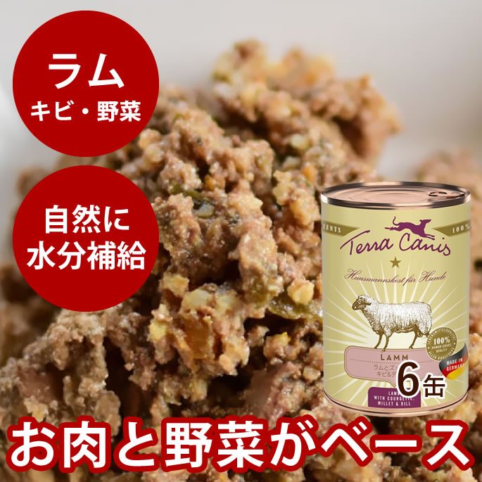 おいも大寄りあつまる