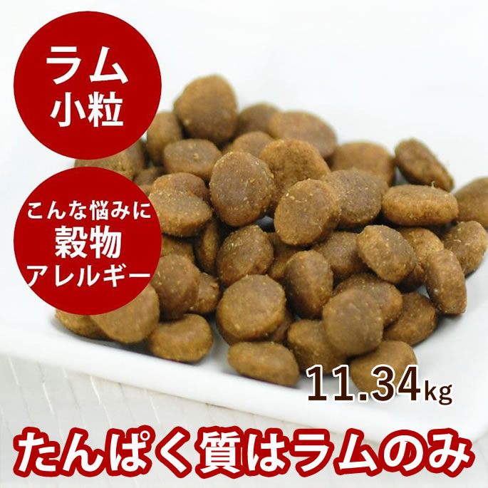おいしい吸いもの特集