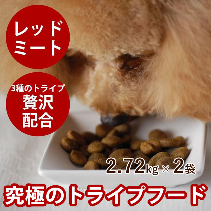 おいも大寄りあつまる