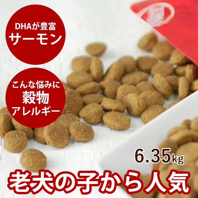 日本に 乳酸菌 穀物不使用 消化に優れたプレミアムドッグフード ワイルドサーモン 6 36kg ペットフード トライプドッグフード 生きた栄養素たっぷりのドッグフード トライプドライ 穀物フリー シニア 高齢犬 グレインフリー ドッグフード