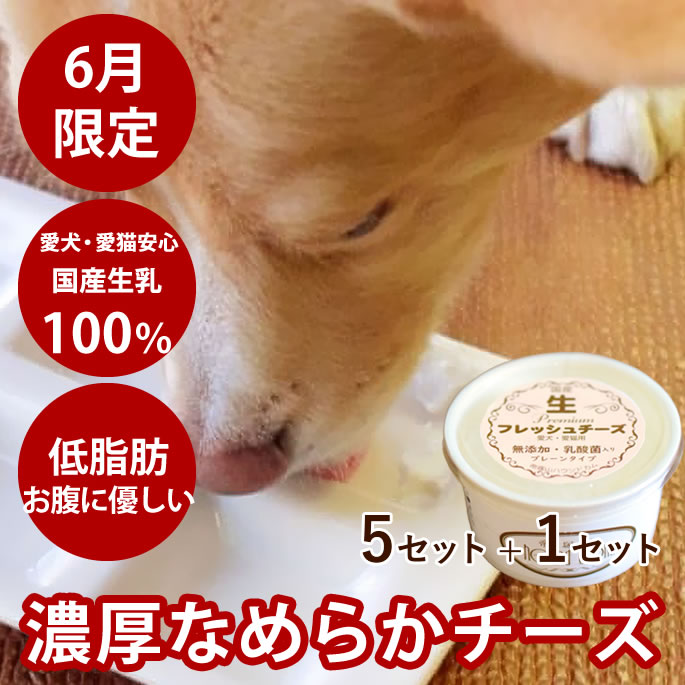 6月限定 国産生プレミアム 愛犬愛猫用フレッシュチーズ 5セット 1セット 冷凍 発酵食品 やわらかいおやつ 乳酸菌 オリゴ糖 子犬 仔猫 老犬 老猫 シニア 生乳 ヨーグルトのようなチーズ 濃厚なミルクの味 無塩 無添加 チキンアレルギーの愛犬に Francophile Dk