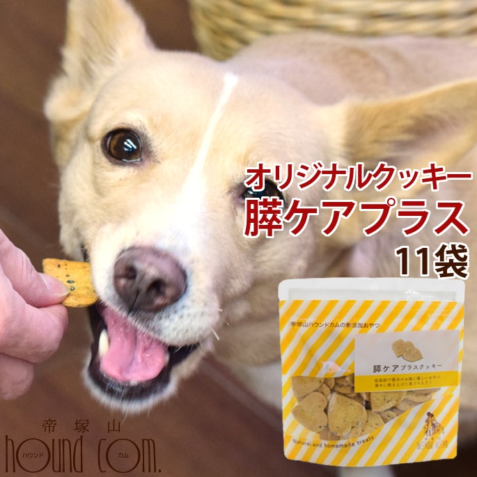 犬用クッキー オリジナルクッキー 膵ケアプラス 80g10袋 1袋犬用 無添加おやつ 国産 低脂肪 トリーツ クリスマス お菓子 素材が生きる安心無添加クッキー 犬 おやつ 無添加 国産 さつまいもボーロ 無添加の商品ですので Rosaalbaresort Com