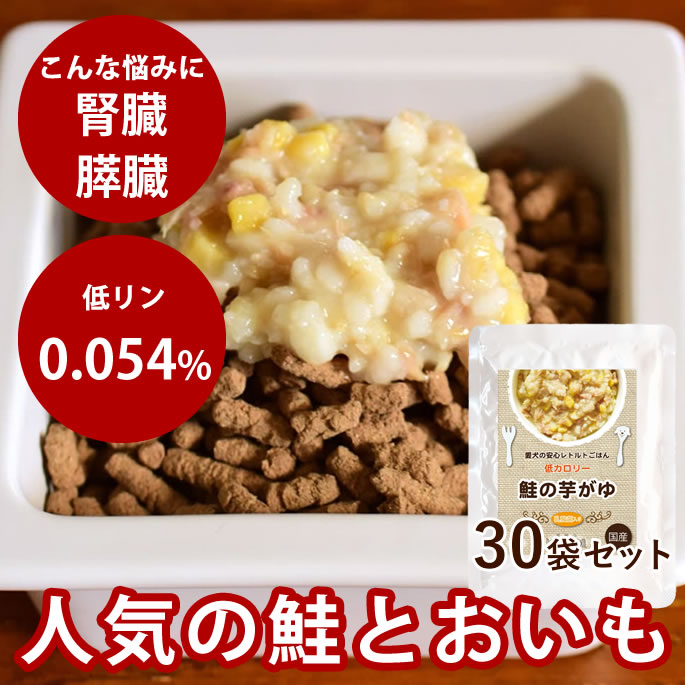 愛犬が喜ぶサーモンとおいも さつま芋 魚 長芋 の美味しいおかゆ おかゆ 愛犬の安心レトルトごはん 低カロリー鮭の芋がゆ 100g 100袋セット Dog 犬用レトルト ウェットフード 手作り食 犬用品 低カロリー 低リン 鮭 魚 粥 無添加 国産 ドッグフード ドックフード Dog