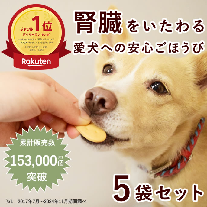 24_p-100737set_th01.jpg