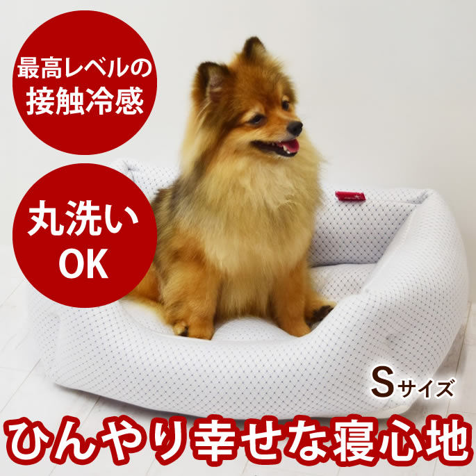 おいも大寄りあつまる