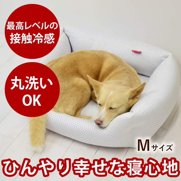 腎の臓にもの柔らか召し上がる特集