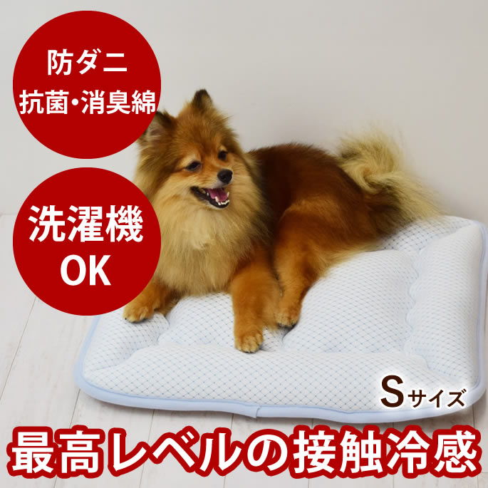 腎の臓にもの柔らか召し上がる特集