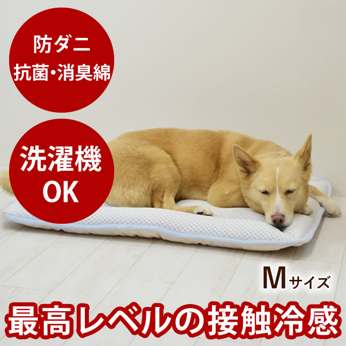 【割引クーポン配布中】【愛犬愛猫用】超クールWラッセルウォッシャブルマット M 70&times;50 【日本製】中型犬 ひんやり 接触冷感 防ダニ 抗菌消臭 夏用 犬のマット 猫のマット 洗濯機で洗える オーガニックコットン使用 高性能マット｜帝塚山ハウンドカム　店