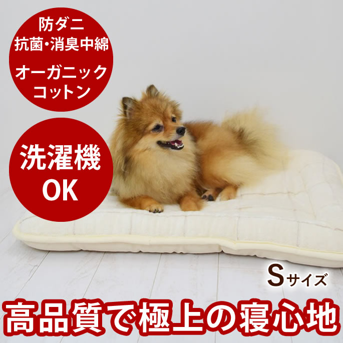 おいも大寄りあつまる