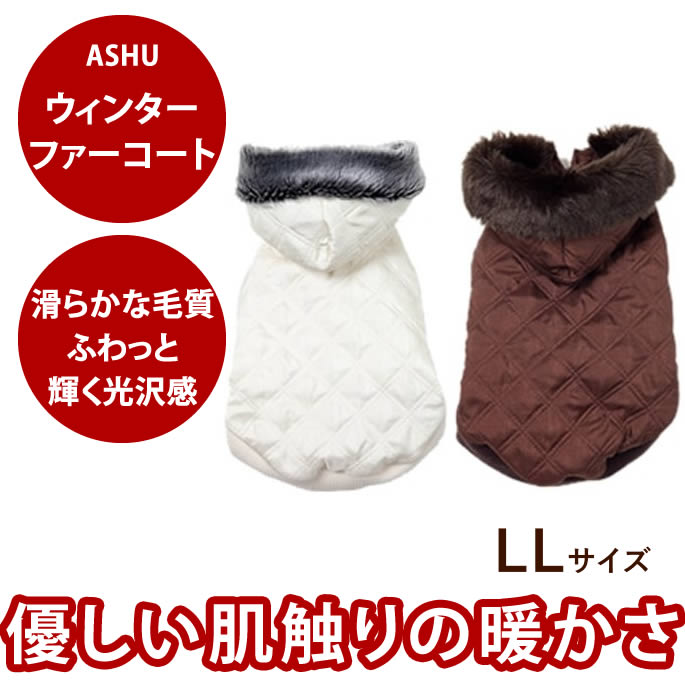 おいも大寄りあつまる