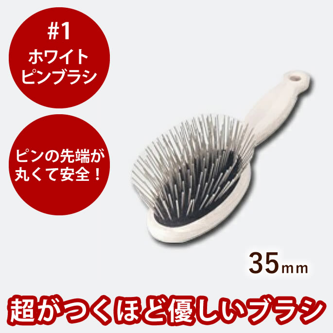 腎の臓に愛想のいい召し上がる特集
