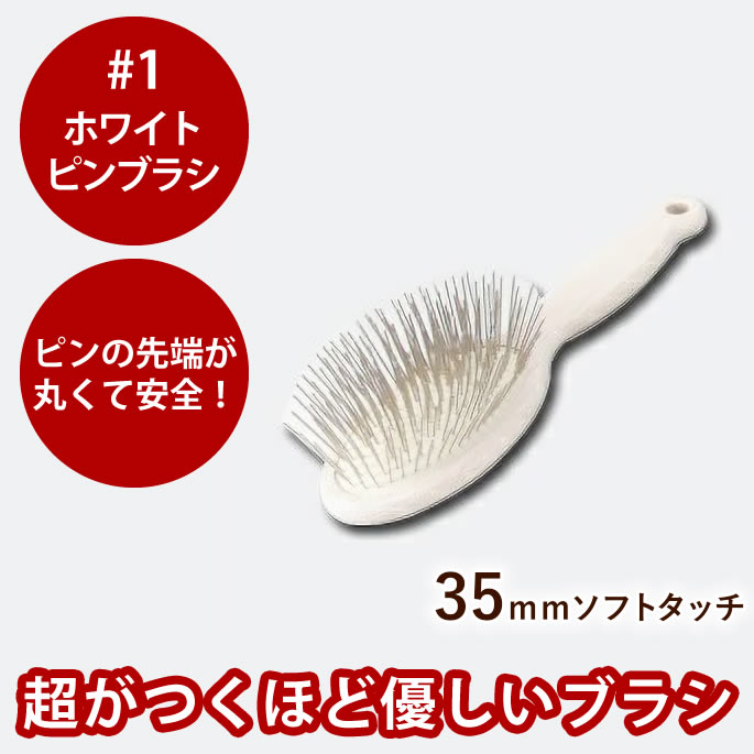 腎の臓にもの柔らか召し上がる特集
