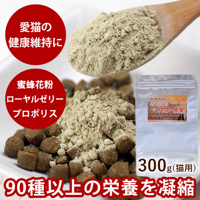 お買い出しマラソン特設ペイジ 猫用品-キャットフード・サプリメント
