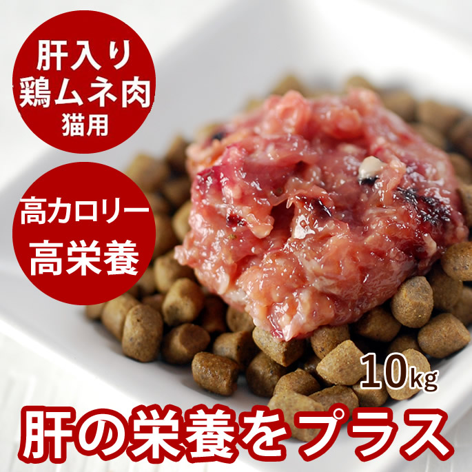 腎の臓に愛想のいい召し上がる特集