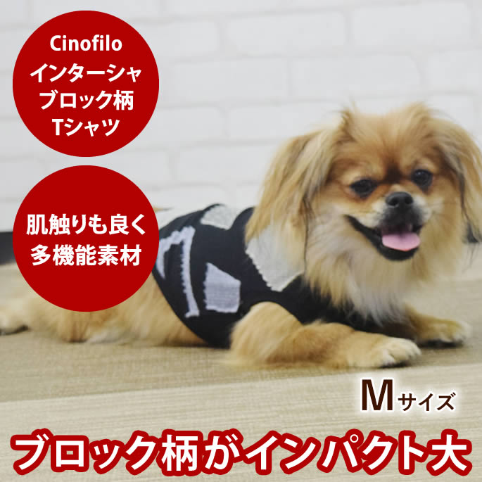 楽天市場】ALPHAICON アルファアイコン ドッグウェア Lサイズ＜DRY