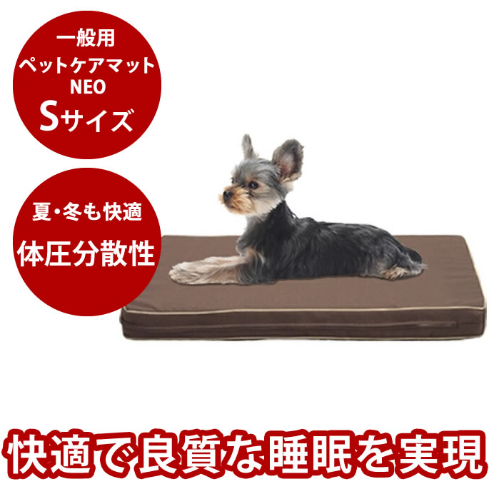 腎の臓に愛想のいい召し上がる特集