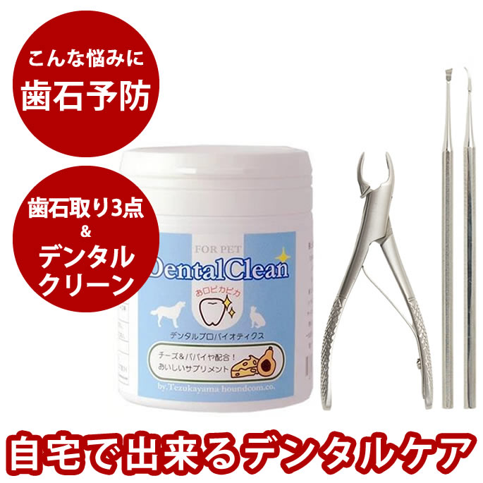 おいも大寄りあつまる