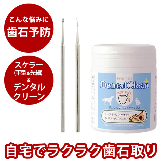 楽天市場】【割引クーポン配布中】歯石取り3点＆デンタルサプリセット