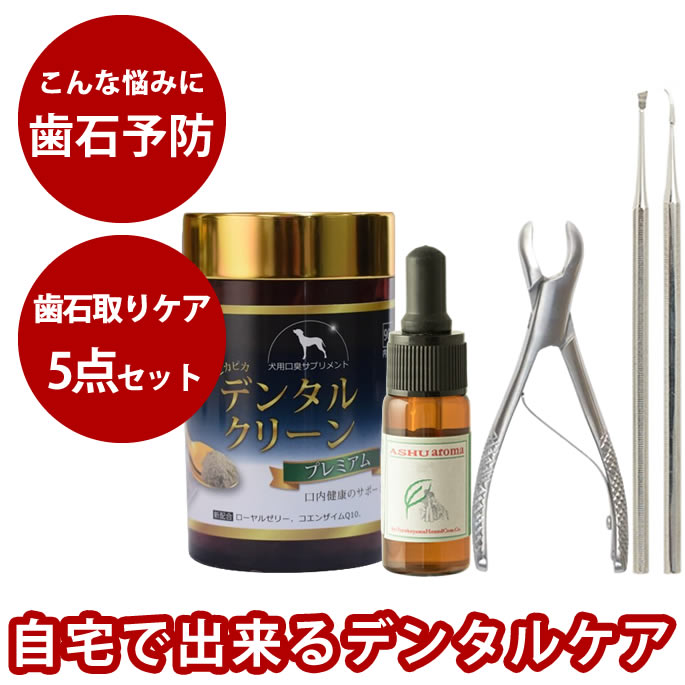 おいも大寄りあつまる