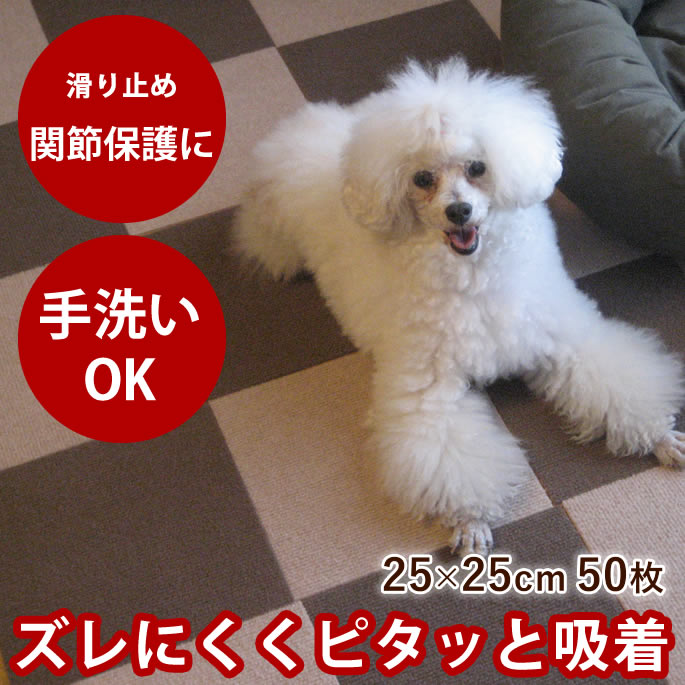 腎の臓に愛想のいい召し上がる特集