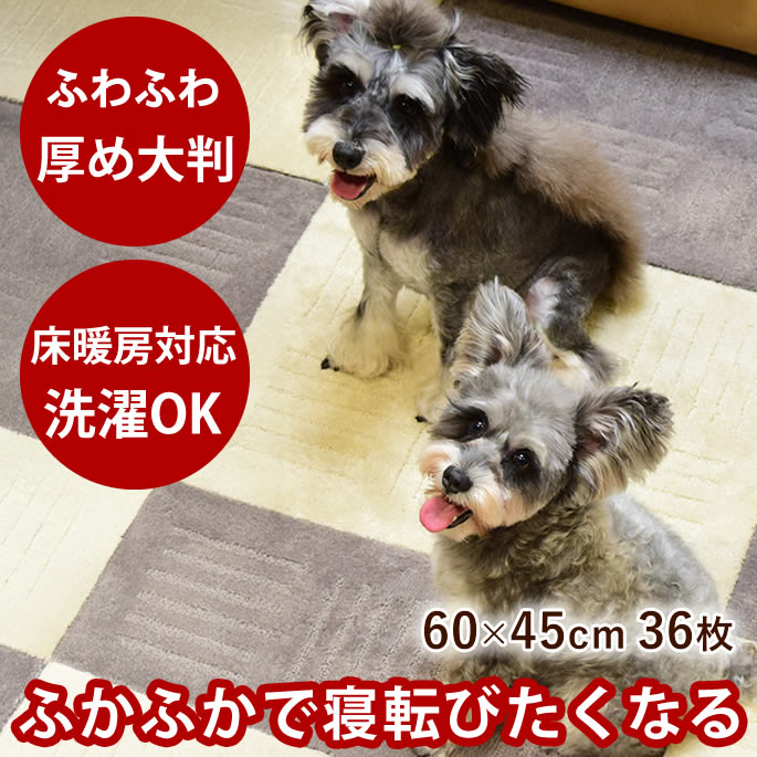 ふわふわ　タイルカーペット　ピタプラス　60×45cm　★36枚　 長持ち タイルマット　ペット用マット　廊下　フローリング　犬用　猫用　滑らない　カーペット 洗える 掃除機でもずれない