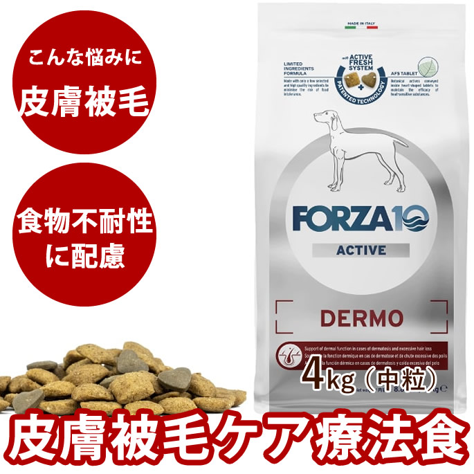 おいも大寄りあつまる