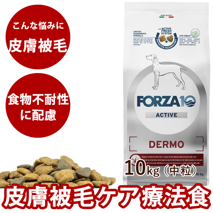 おいも大寄りあつまる