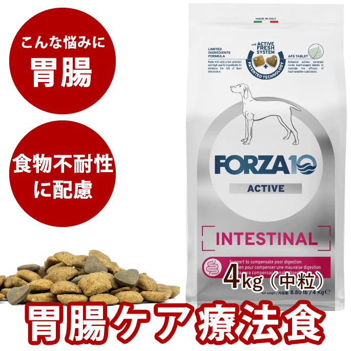 犬 FORZA10 療法食｜犬用 インテスティナルアクティブ(胃腸ケア) 4kg（ミディアム 中粒）フォルツァ10 胃腸ケア療法食　食事療法食 フォルツァディエチ　犬用　無添加　犬　成犬　総合栄養食