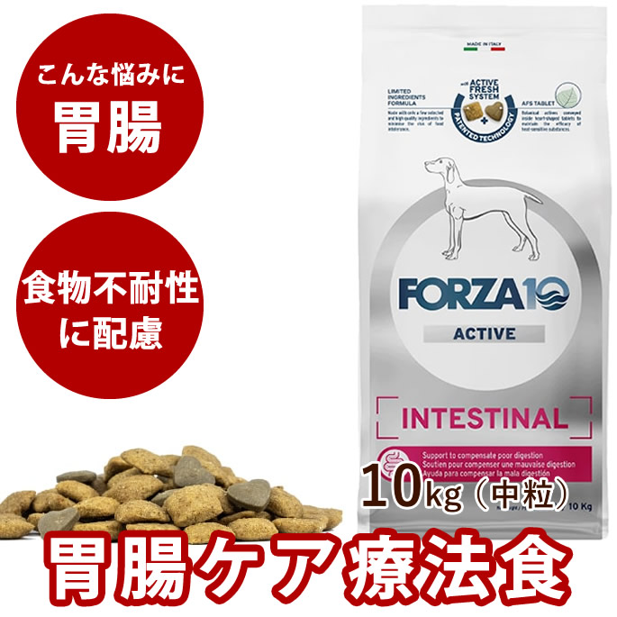 おいも大寄りあつまる