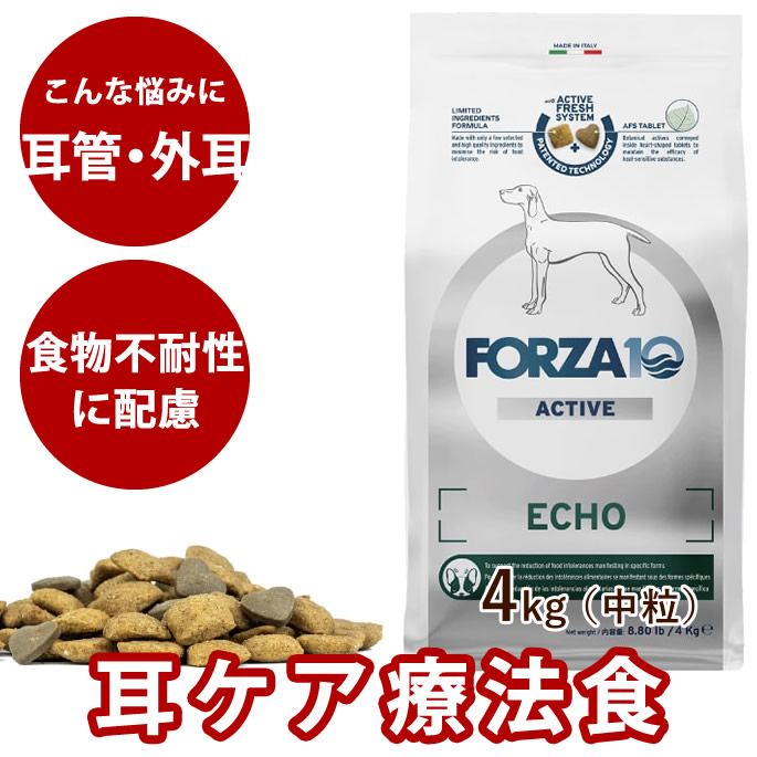 おいも大寄りあつまる