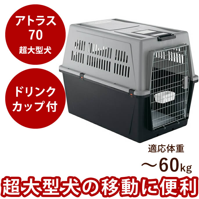 腎の臓に愛想のいい召し上がる特集