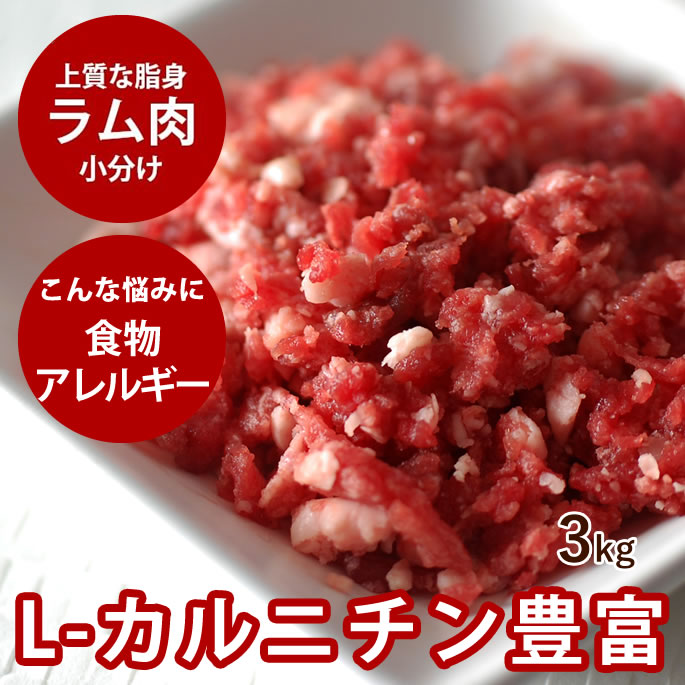 腎の臓に人懐っこい召し上がる特集