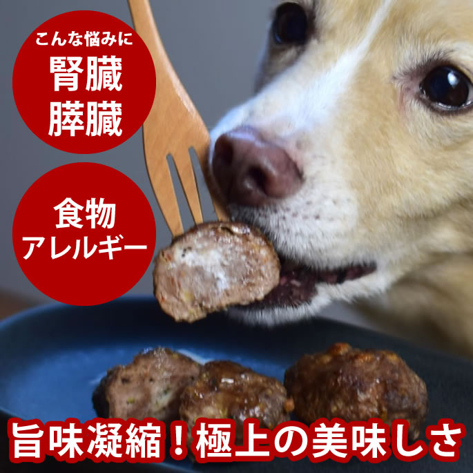 おいも大寄りあつまる