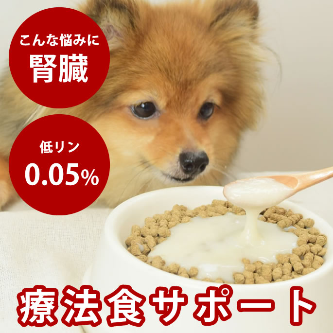 腎の臓に愛想のいい召し上がる特集