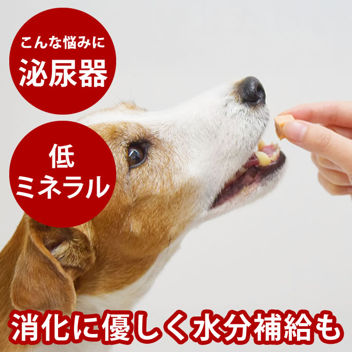 腎の臓にもの柔らか召し上がる特集