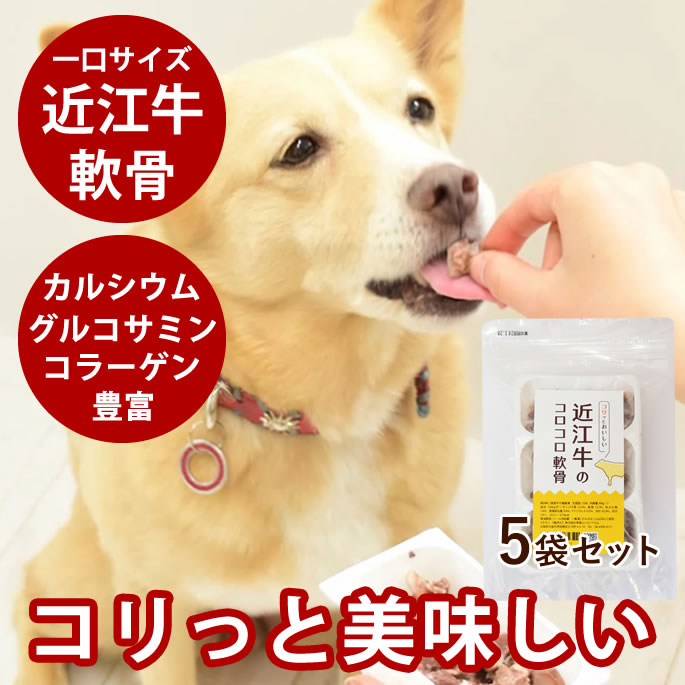 愛犬の腎の臓に愛想のいいお兄ちゃん