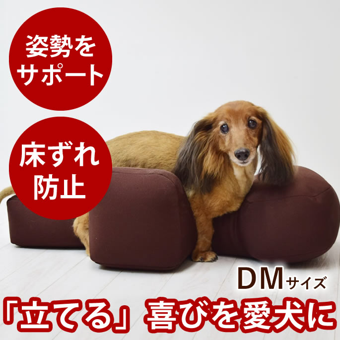 【愛犬用ベッド】 リラクッション DM ブラウン【立位保定・介護ベッド】 小型犬 寝たきりの愛犬に ミニチュアダックスフンド ジャックラッセルテリア 老犬 介護 マッサージ 姿勢サポートクッション
