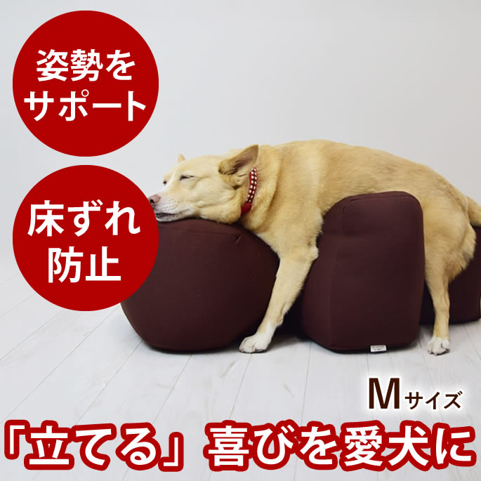 楽天市場】【愛犬用ベッド】 リラクッション DM ブラウン【立位保定