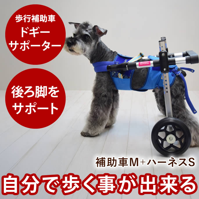【割引クーポン配布中】歩行補助車 ドギーサポーター 補助車Mサイズ+ハーネスSサイズセット 犬用 車椅子 前足 後ろ足 レンタル 介護用 車いす 小型犬 中型犬　胴輪 ハーネス 補助器具 散歩 歩行補助