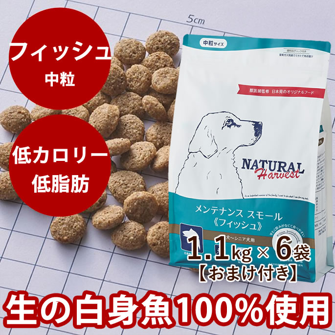 【割引クーポン配布中】【おまけ付き】ナチュラルハーベスト メンテナンススモール　フィッシュ　 1.1kg×6袋セット 　NEWパッケージ 犬 ドッグフード ドライフード 低脂肪 低カロリー 犬用 シニア 成犬