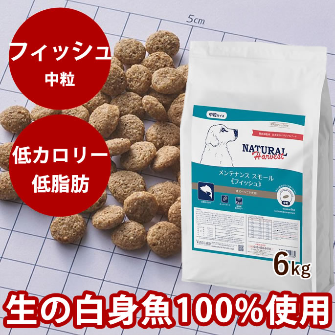 おいも大寄りあつまる
