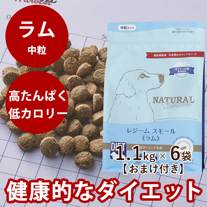 ナチュラルハーベストレジームスモール チキン ダイエット用食事療法食 1.1kg×6袋セット おまけ付き ドッグフード　ドライフード　犬用　中粒