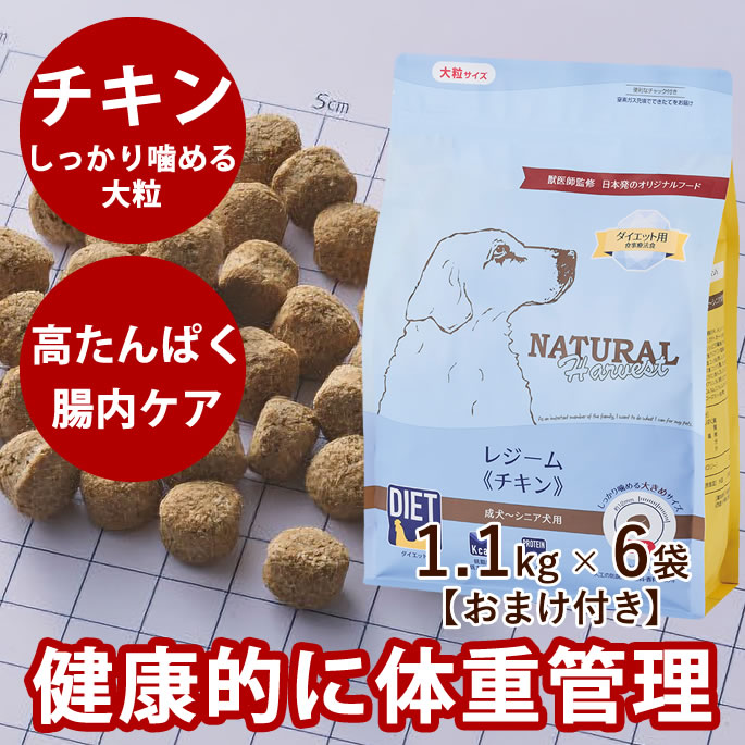 ナチュラルハーベスト レジーム チキン ダイエット用食事療法食 1.1kg×6袋セット おまけ付き ドッグフード　ドライフード　犬用　大粒